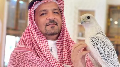 Photo of استمرت 34 عامًا.. صقار سعودي يكشف تفاصيل رحلته المثيرة مع الصقور