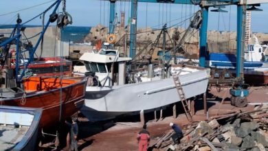 Photo of هيئة الصيد البحري تعلن رفع حطام 180 سفينة في الجزائر