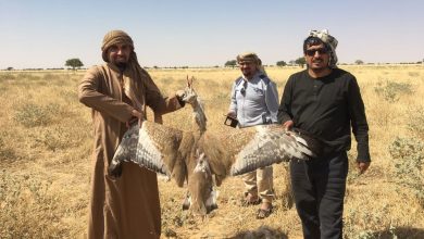 Photo of إلكترونيًا .. أهم خطوات إصدار تصريح الصيد البري في السعودية