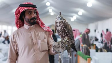Photo of صقار سعودي يروي قصة تحوله من عشق كرة القدم إلى التعلق بالصقور