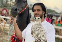 Photo of بالتفاصيل .. “صقار من الصفر” دورة تدريبية مع الصقار المصري أحمد إيهاب