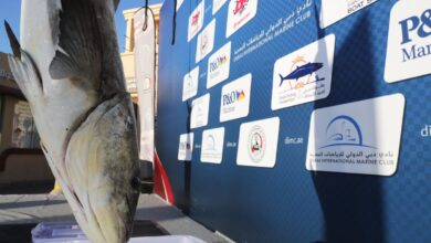 Photo of 165 ألف درهم جوائز الجولة الثانية لـ “دبي لصيد الأسماك”