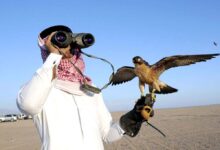 Photo of بالمستندات .. خطوات الحصول على تصريح الصيد البري في السعودية