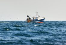 Photo of بالدولار .. هذا راتب الصياد الماهر في مياه البحر الأبيض المتوسط